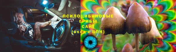 МДМА Горняк