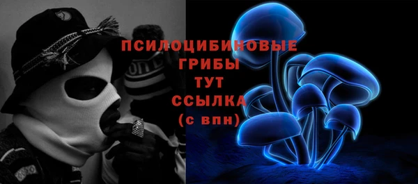 прущая мука Горно-Алтайск