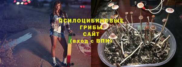 прущая мука Горно-Алтайск