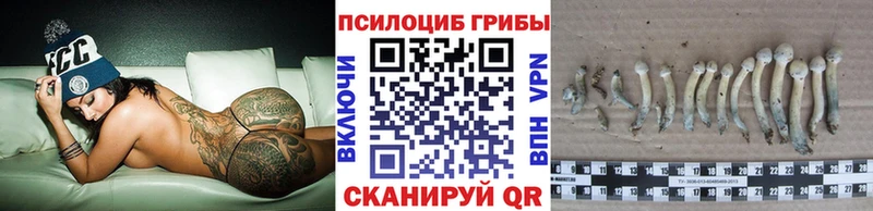 Галлюциногенные грибы GOLDEN TEACHER  Купить где  Короча 